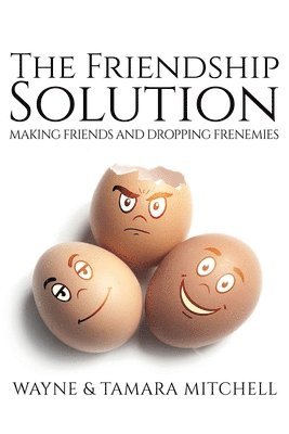 bokomslag The Friendship Solution