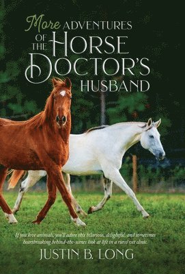 More Adventures of the Horse Doctor's Husband 1