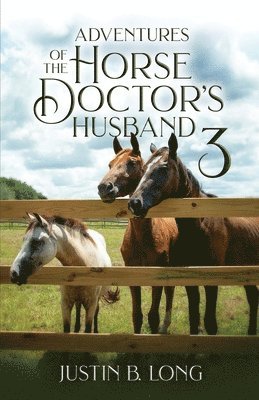 bokomslag Adventures of the Horse Doctor's Husband 3