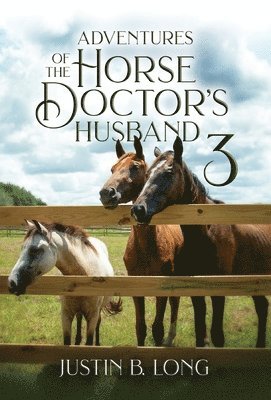 Adventures of the Horse Doctor's Husband 3 1