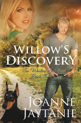 bokomslag Willow's Discovery
