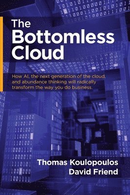 Thomas Koulopoulos, David Friend - Bottomless Cloud, Häftad