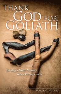 bokomslag Thank God for Goliath: Turning a Death Sentence Into a Victory Parade