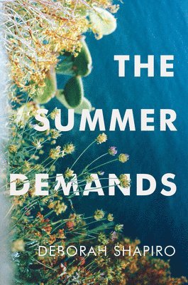 Deborah Shapiro - Summer Demands, Inbunden