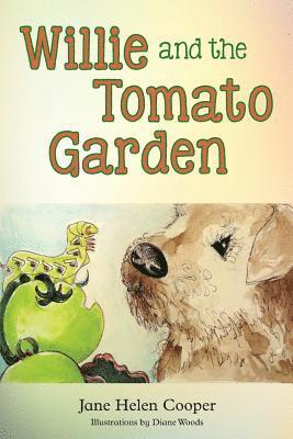 Willie and the Tomato Garden 1