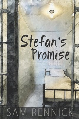 bokomslag Stefan's Promise