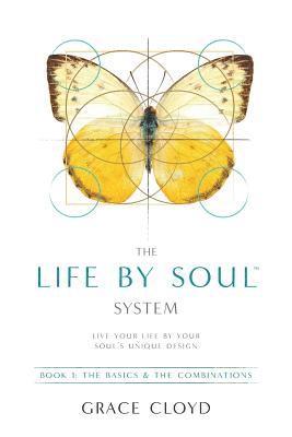 bokomslag The Life by Soul(tm) System: Book 1 the Basics & the Combinations