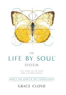bokomslag The Life by Soul(TM) System: Book 1 The Basics & The Combinations