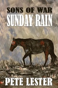 bokomslag Sunday Rain