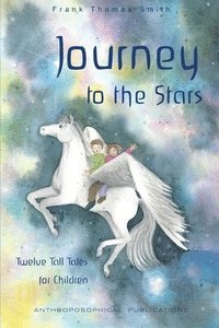 bokomslag Journey to the Stars