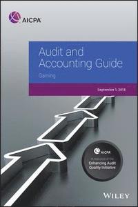 bokomslag Audit and Accounting Guide