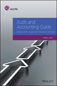 bokomslag Audit and Accounting Guide
