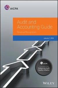 bokomslag Audit and Accounting Guide