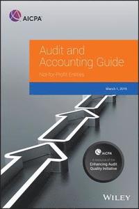 bokomslag Auditing and Accounting Guide