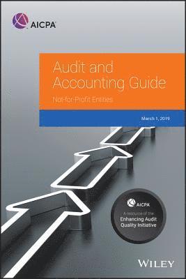 bokomslag Auditing and Accounting Guide