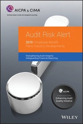 bokomslag Audit Risk Alert