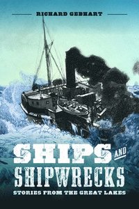 bokomslag Ships And Shipwrecks