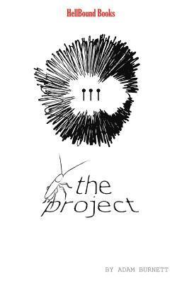 bokomslag Project