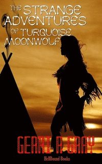 bokomslag The Strange Adventures of Turquoise Moonwolf