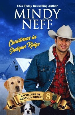 bokomslag Christmas in Shotgun Ridge: Small Town Holiday Romance