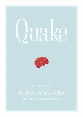 bokomslag Quake: A Novel