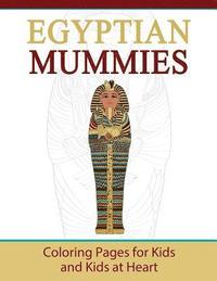 bokomslag Egyptian Mummies