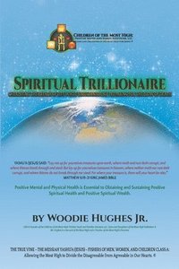 bokomslag Spiritual Trillionaire