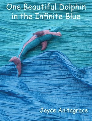 One Beautiful Dolphin in the Infinite Blue 1