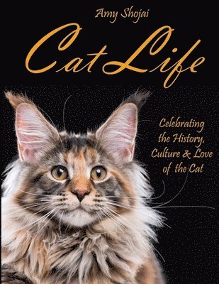 Cat Life 1