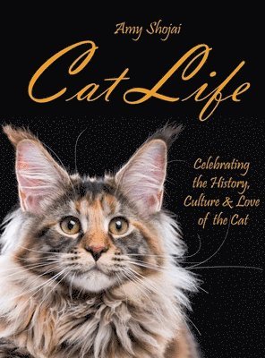 Cat Life 1