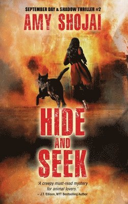 Hide And Seek 1