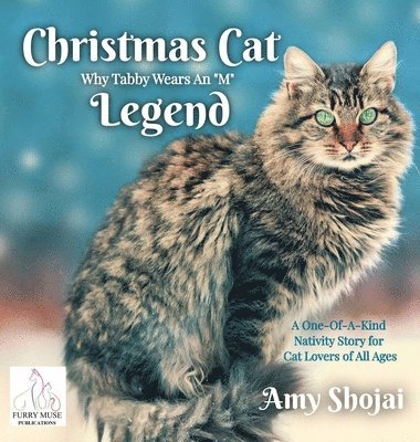 Christmas Cat Legend, Why Tabby Wears An "M"