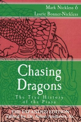 bokomslag Chasing Dragons