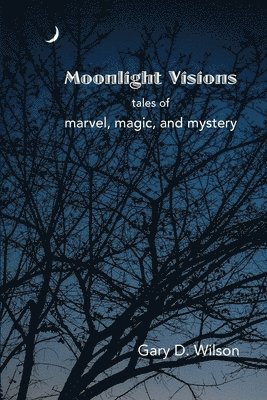 Gary Wilson - Moonlight Visions, Häftad