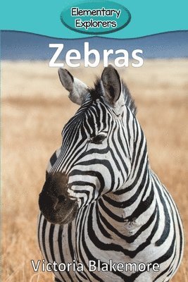 bokomslag Zebras