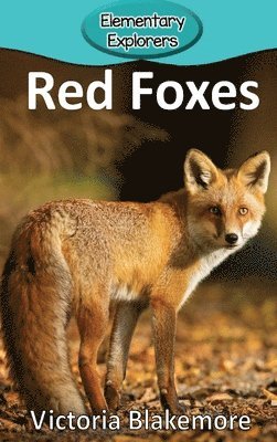 bokomslag Red Foxes