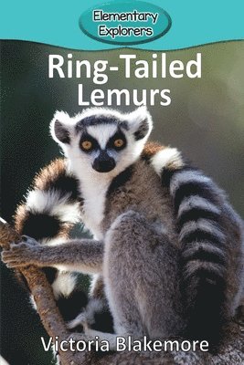 bokomslag Ring-Tailed Lemurs