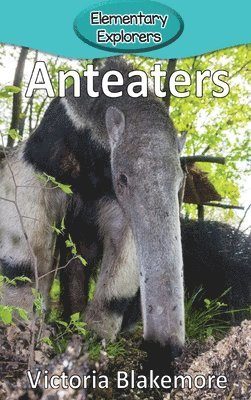 bokomslag Anteaters