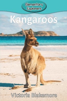 bokomslag Kangaroos