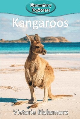 Kangaroos 1