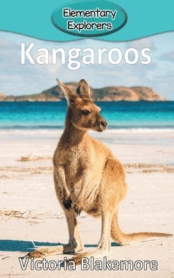 bokomslag Kangaroos