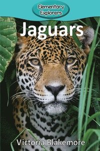 bokomslag Jaguars