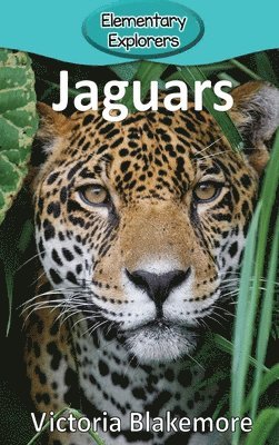 bokomslag Jaguars