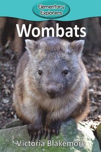 bokomslag Wombats