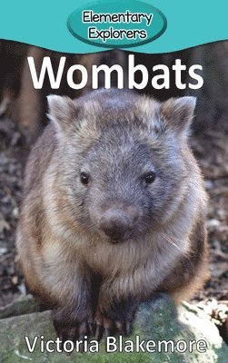 bokomslag Wombats