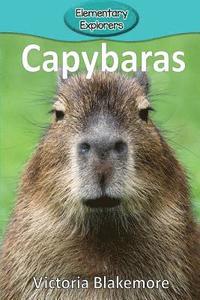 bokomslag Capybaras