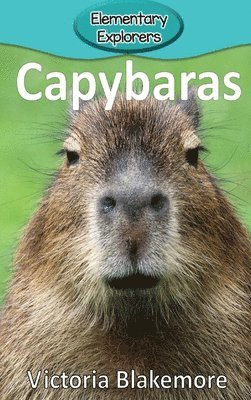 bokomslag Capybaras