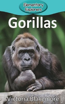 bokomslag Gorillas