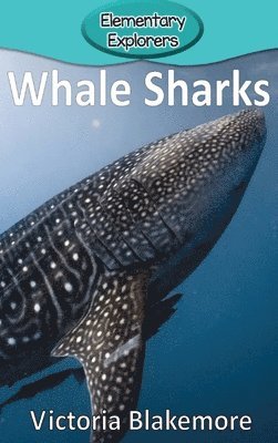 bokomslag Whale Sharks