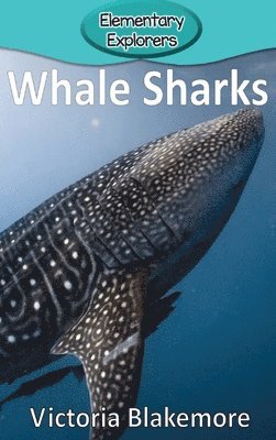Whale Sharks